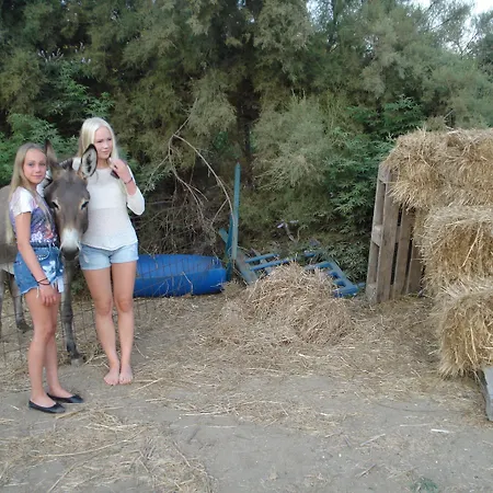 Apartmanhotel Agios Prokopios Hotel