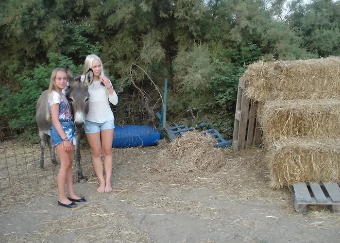 公寓式酒店 爱格普斯酒店