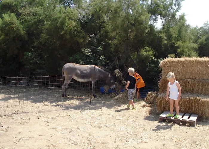 Agios Prokopios Hotel Apart Otel